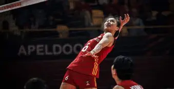 米兰体育中国-斯图加特遗憾出局中国女排怒砍35分，斯图加特清晨扳平良机都惊呆了的简单介绍